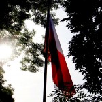 Polska Szarża